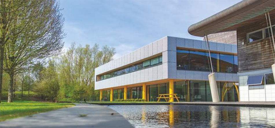 NLR Case Study - Oak Creative